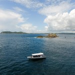 Byron-Marine-Park-Eco-Cruise-2