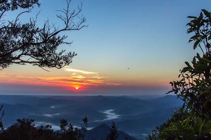 20 Photos that will Make you Want to Visit the Byron Hinterland 1
