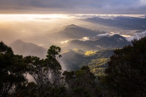 20 Photos that will Make you Want to Visit the Byron Hinterland 18