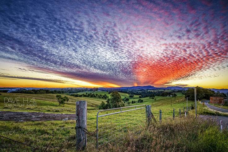 20 Photos that will Make you Want to Visit the Byron Hinterland 7 ...